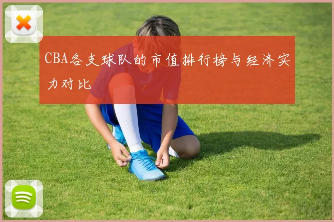 CBA各支球队的市值排行榜与经济实力对比