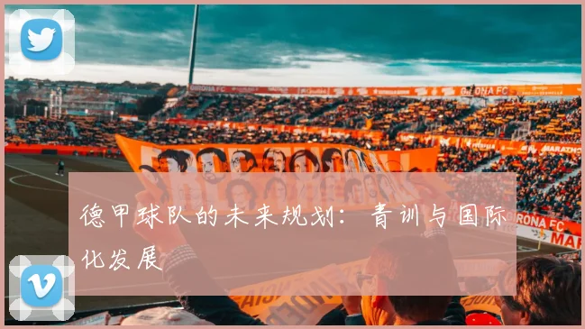 德甲球队的未来规划：青训与国际化发展